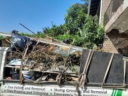 Best Yard Waste Removal  in Tenafly, NJ